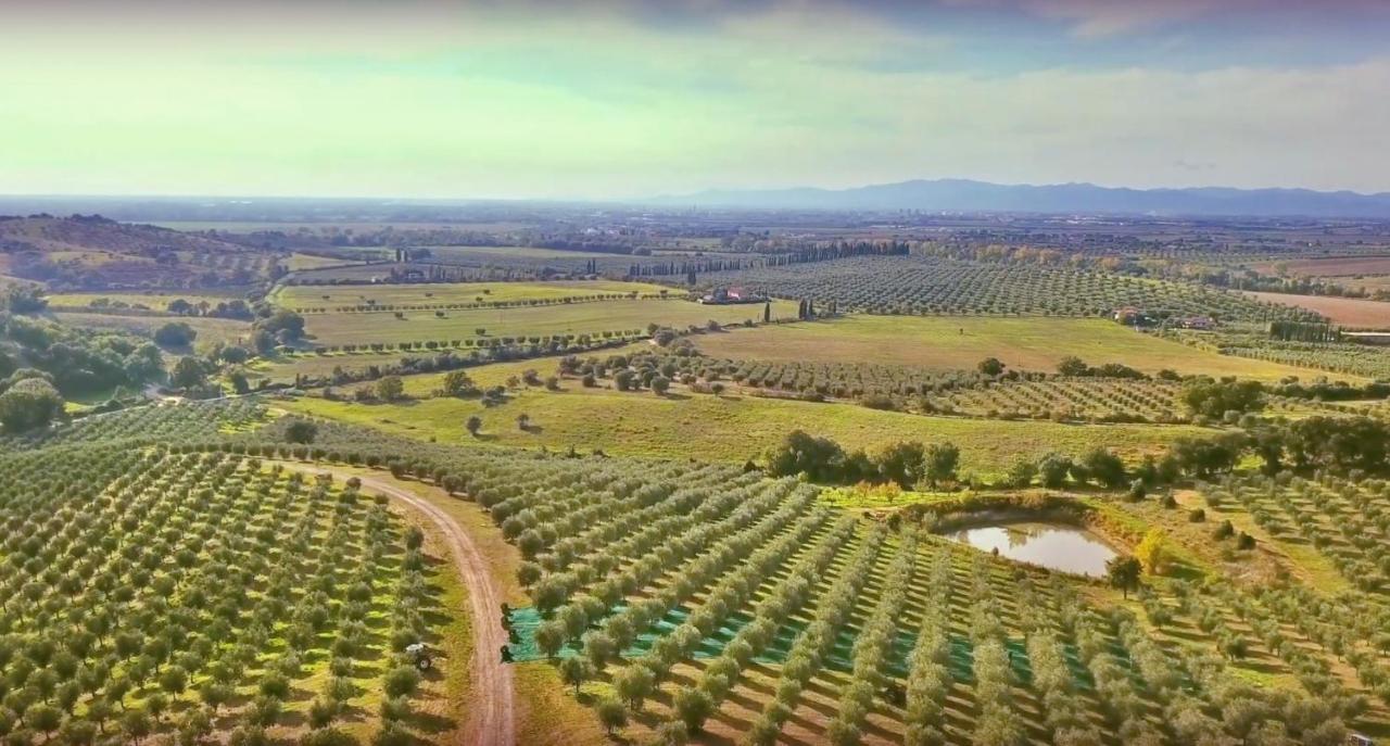 Agriturismo La Fonte Гроссето Экстерьер фото